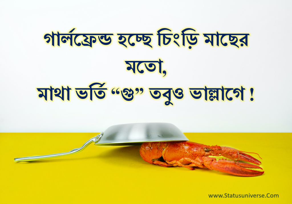 Boys Attitude Caption in Bengali